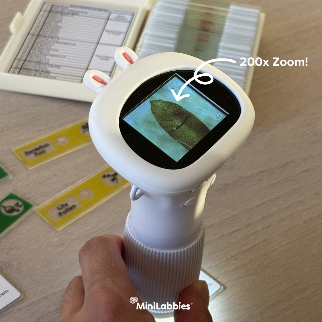 Kinmaze - digital microscope