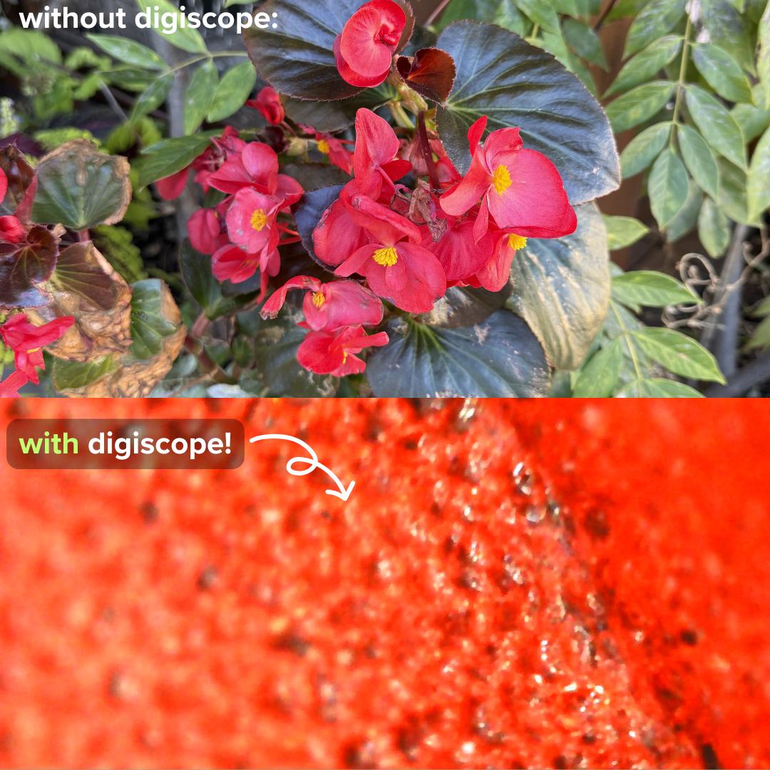Kinmaze - digital microscope